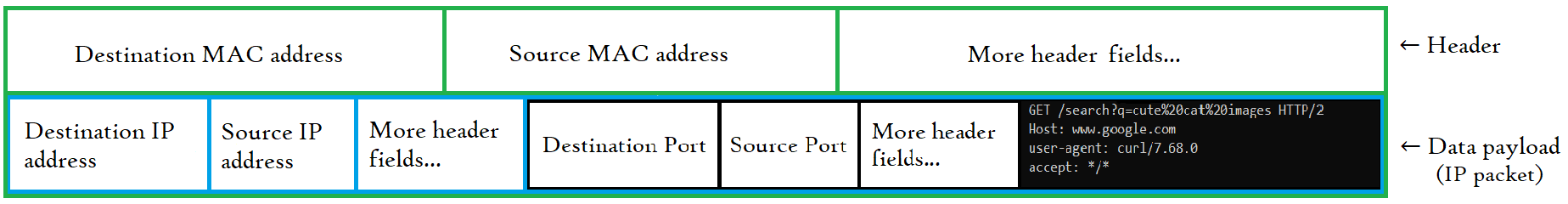 The Ethernet Frame (outlined in green) encapsulates the IP Packet